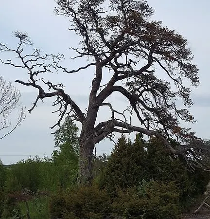 &